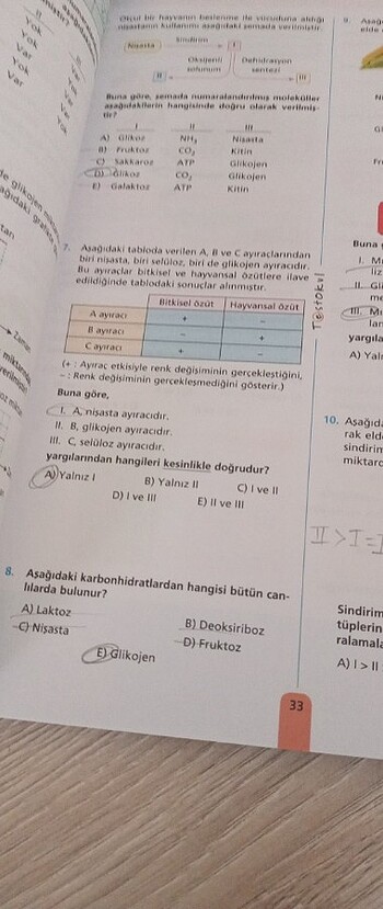 Beden Renk 9.sınıf Biyoloji