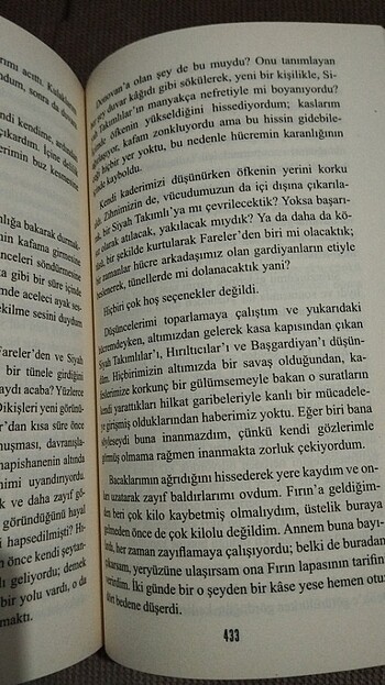 Fırın Alexander Gordon Smith