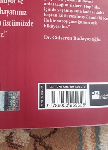  Beden Renk Camdaki Kız - Gülseren Budayıcıoğlu