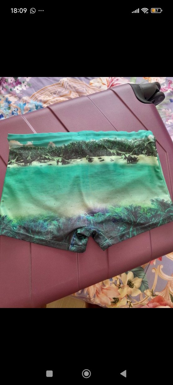 Turkuaz Renkli Dinozor Baskılı Erkek Çocuk Mayo - Görsel 2