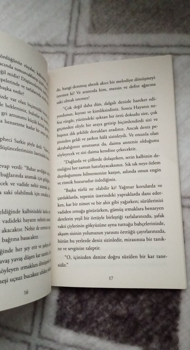 Ermişin Bahçesi - Halil Cibran - Görsel 3