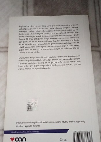 uğultulu tepeler - Görsel 2