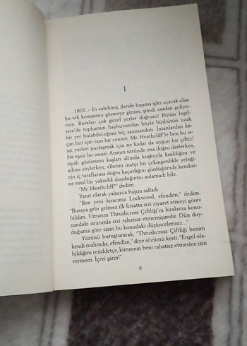 uğultulu tepeler - Görsel 4