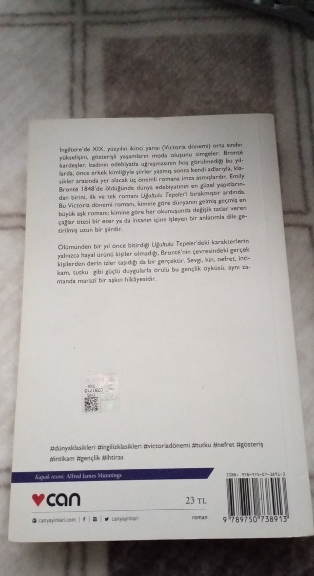 uğultulu tepeler - Görsel 2