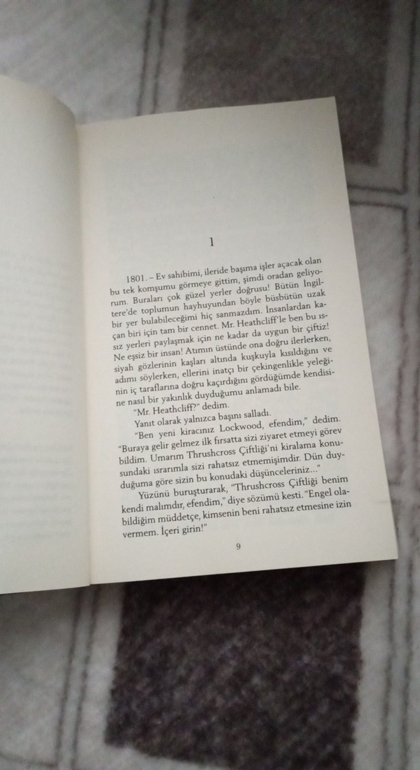 uğultulu tepeler - Görsel 4