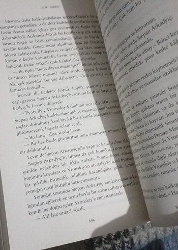 Anna Karenina - L. N. Tolstoy - Görsel 4