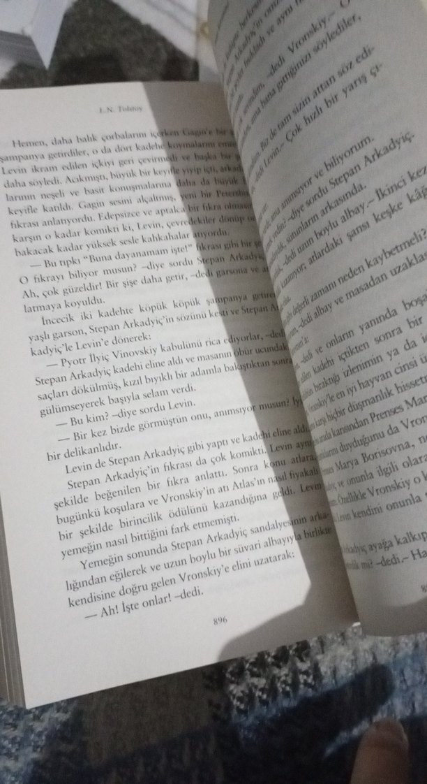 Anna Karenina - L. N. Tolstoy - Görsel 4