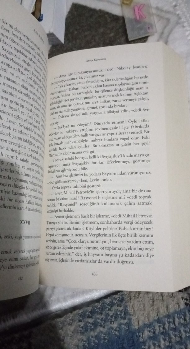 Anna Karenina - L. N. Tolstoy - Görsel 3