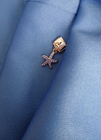 Diğer nomination charm