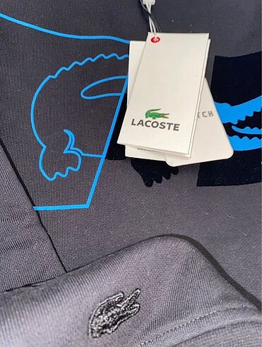 s Beden LACOSTE YENI SEZON