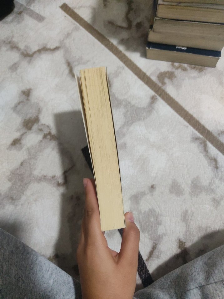 Şato - Franz Kafka - Görsel 2