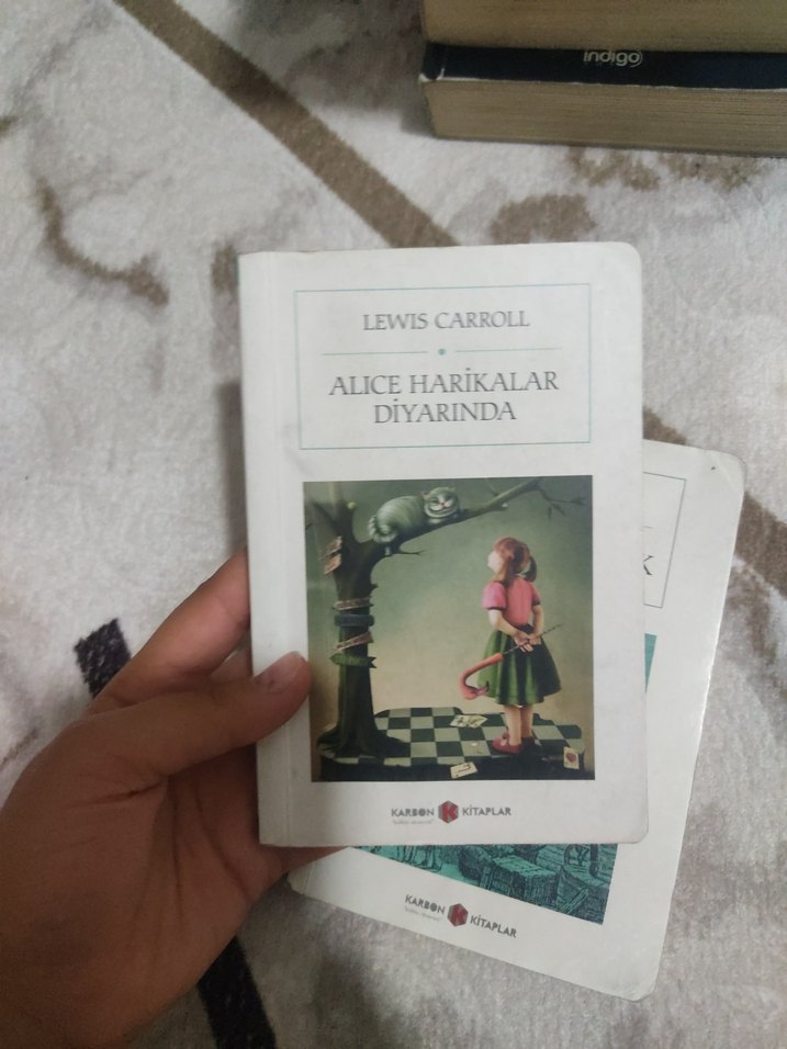 Alice Harikalar Diyarında & Ay'a Yolculuk Kitapları - Görsel 3