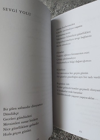 Habib Gerez - Ertelenmiş Suskular Şiir Kitabı - Görsel 3