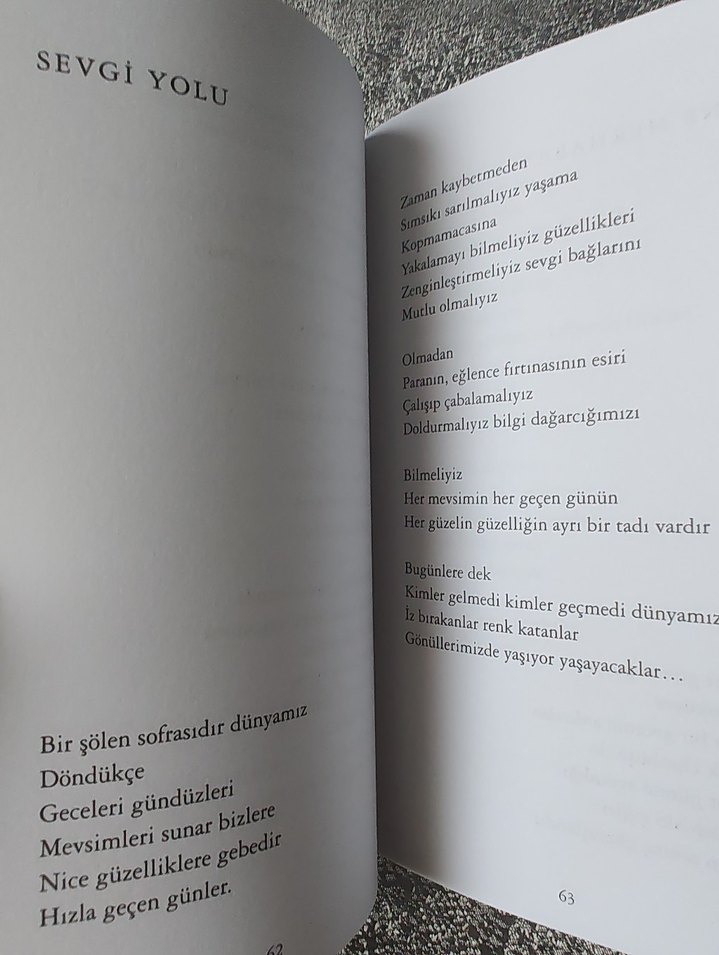 Habib Gerez - Ertelenmiş Suskular Şiir Kitabı - Görsel 3