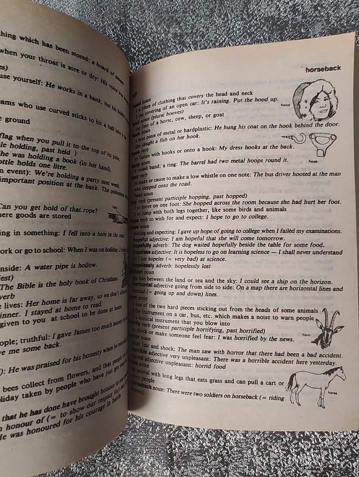 İngilizce-İngilizce Sözlük KENT ENGLISH - Görsel 2