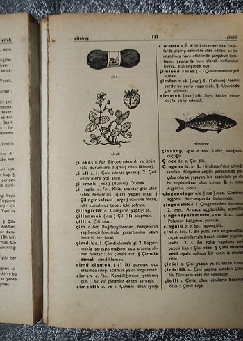 Türk Dil Kurumu Resimli Türkçe Sözlük - Görsel 5