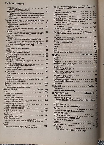 İngilizce-Türkçe Visual Dictionary - Görsel 5