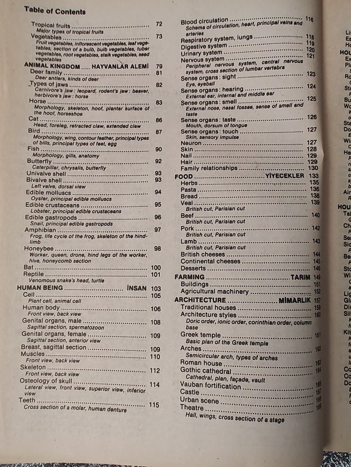 İngilizce-Türkçe Visual Dictionary - Görsel 5