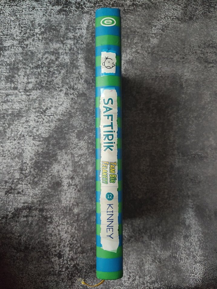 Saftirik Greg'in Günlüğü - Tam Bir Felaket! - Görsel 4