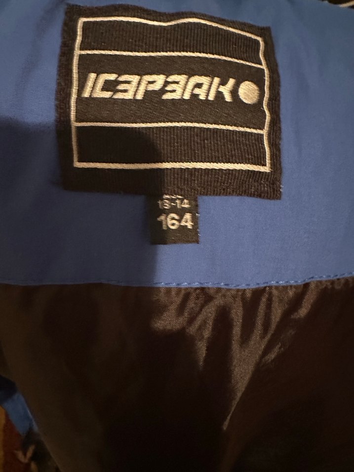 Erkek Çocuk Mavi Fermuarlı Kayak Montu ve Pantolonu - Görsel 4