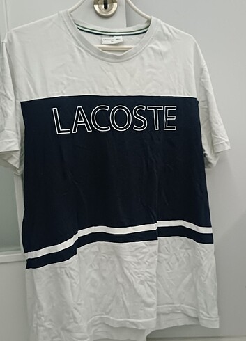 Lacoste Lacoste ????????????