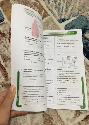 Beden Ayt biyoloji soru bankası
