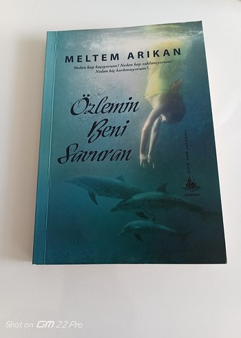 Özlemin Beni Savuran - Meltem Arıkan Roman