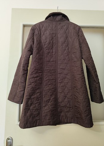 Etrucci kaban - Görsel 2