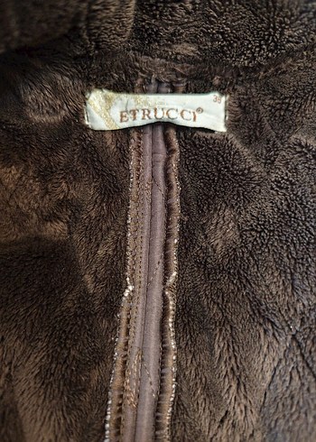 Etrucci kaban - Görsel 4