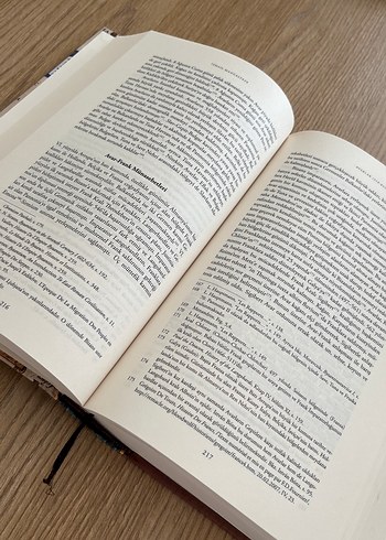 Doğu Avrupa Türk Tarihi Kitabı - Görsel 3