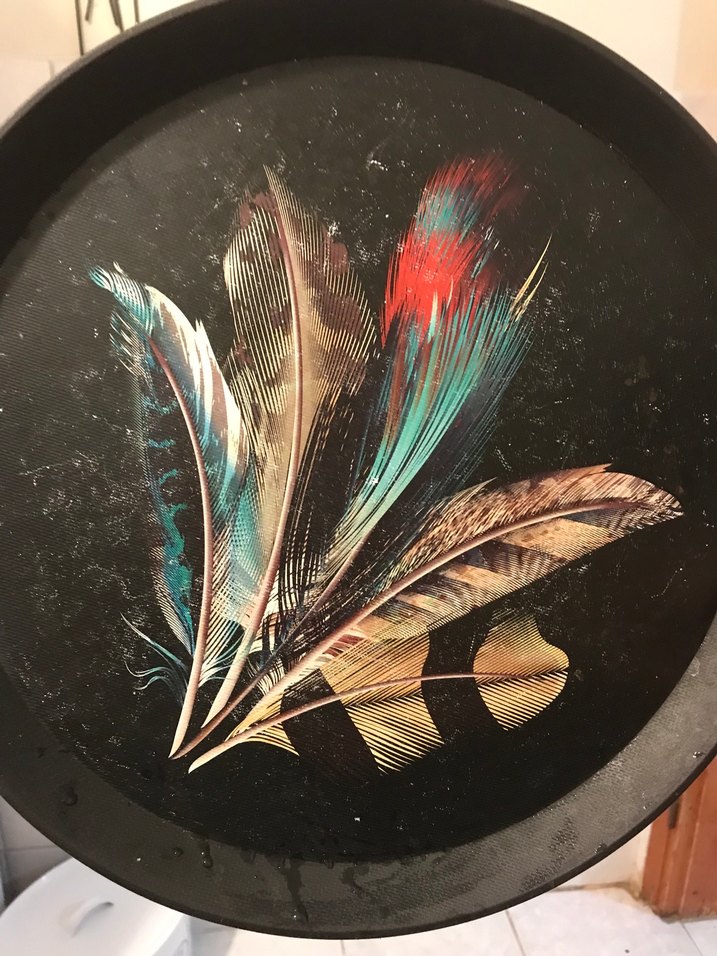 Çok Renkli Tüyler Temalı Tablo - Görsel 2