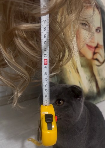 OMBRELİ  PERUK 60-65 cm - Görsel 5