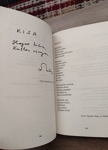 Beden Renk Cemal Süreya Üstü Kalsın