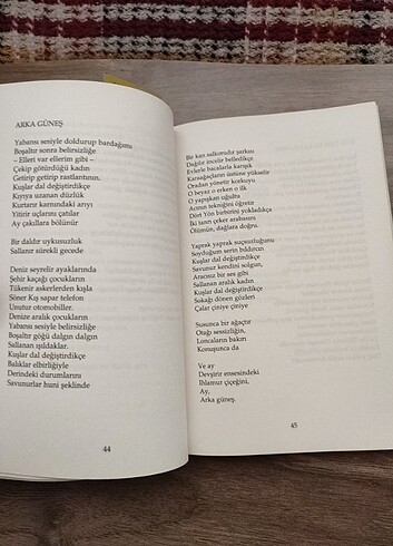 Beden Cemal Süreya Üstü Kalsın