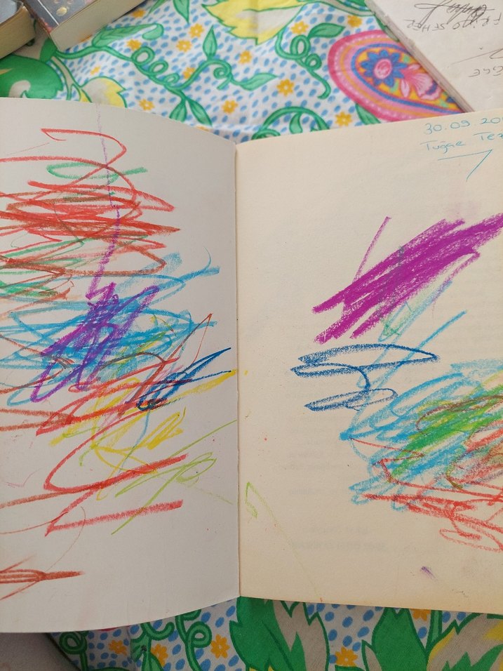 Türkler'in Kültür Kökenleri - Ergun Candan - Görsel 2