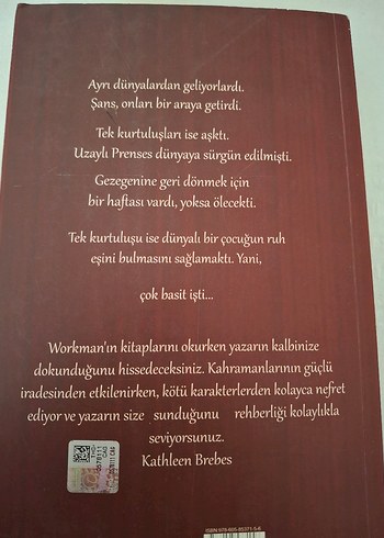 Sürgün Romanı - RaShelle Workman