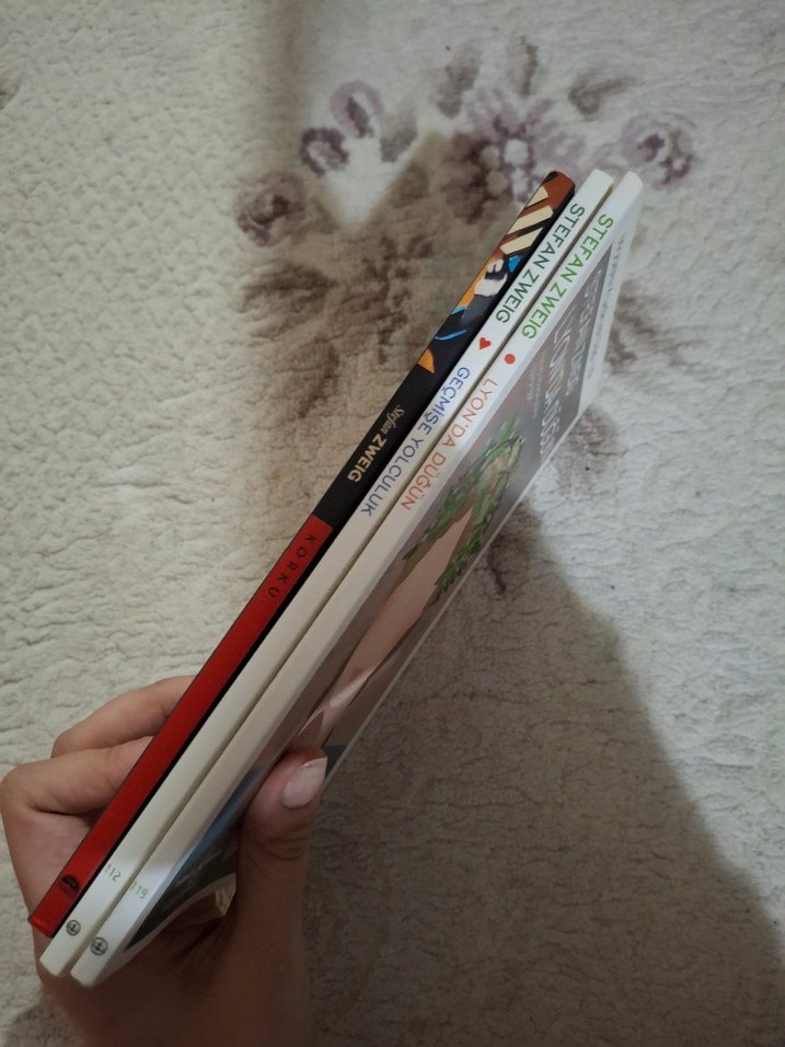 STEFAN ZWEIG 3 ADET - Görsel 2