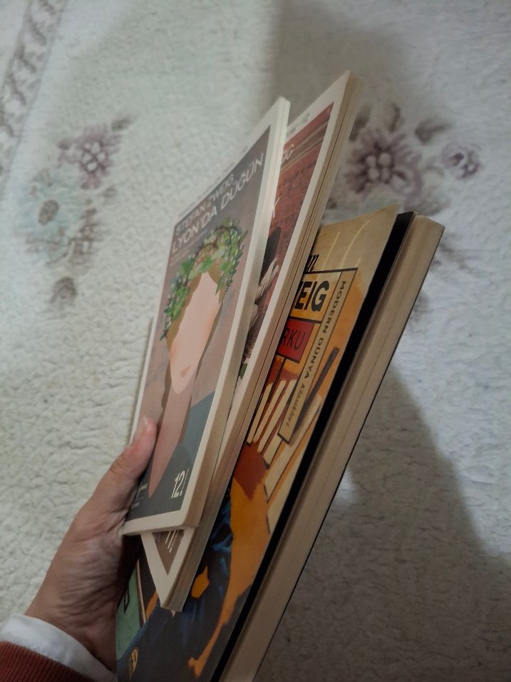 STEFAN ZWEIG 3 ADET - Görsel 3