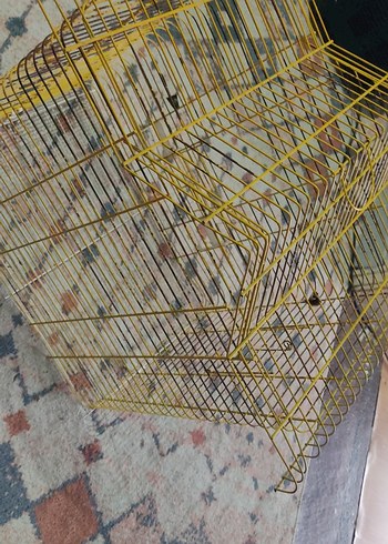 Sarı Renkli  muhabbet kuşu kafesi - Görsel 3