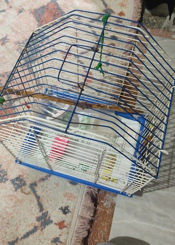 Mavi Küçük muhabbet kuşu kafesi - Görsel 3