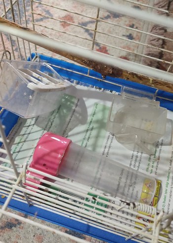 Mavi Küçük muhabbet kuşu kafesi - Görsel 2