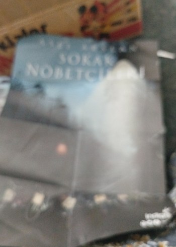 Sokak Nöbetçileri Romanı