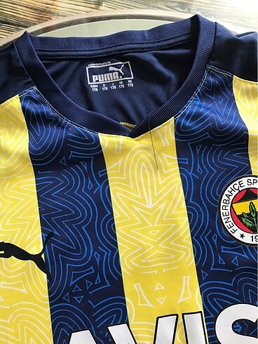 Puma Erkek forma