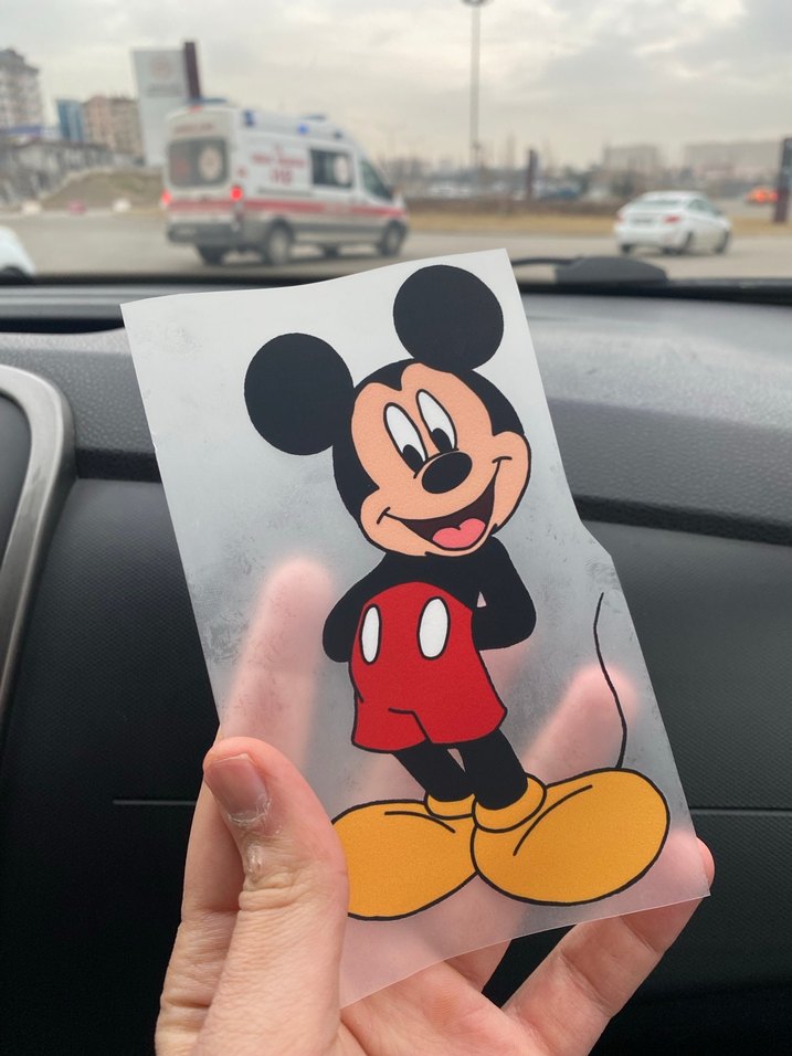 Mickey Mouse Dft Baskı Koleksiyon - Görsel 5