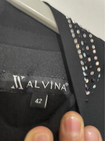 Alvina Alvina Bluz