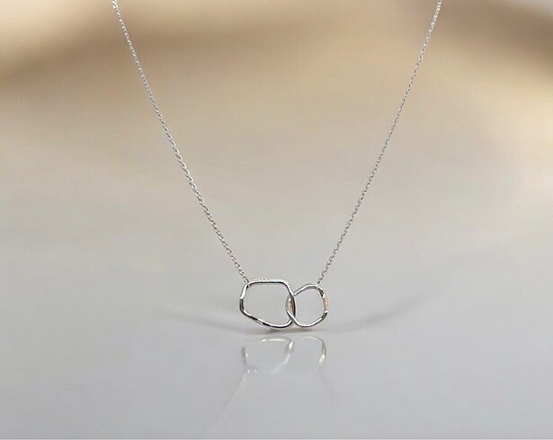 Dinalis Jewelry İç İçe Geçmiş Halka Çelik Kolye
