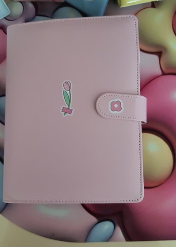 Pastel Pembe binder