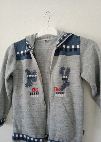 Diğer Erkek Çocuk Gri Kapüşonlu Nakışlı Sweatshirt