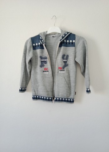 Standart Beden Beden gri Renk Erkek Çocuk Gri Kapüşonlu Nakışlı Sweatshirt
