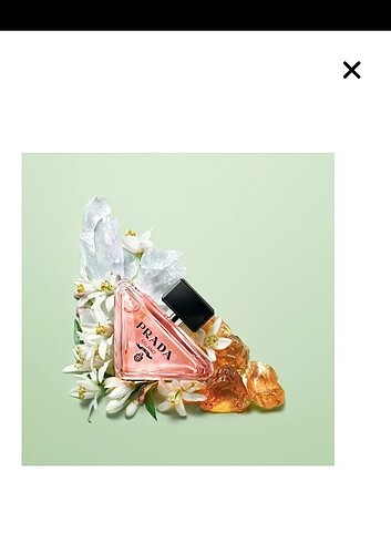 PRADA PARADOXE 50ML